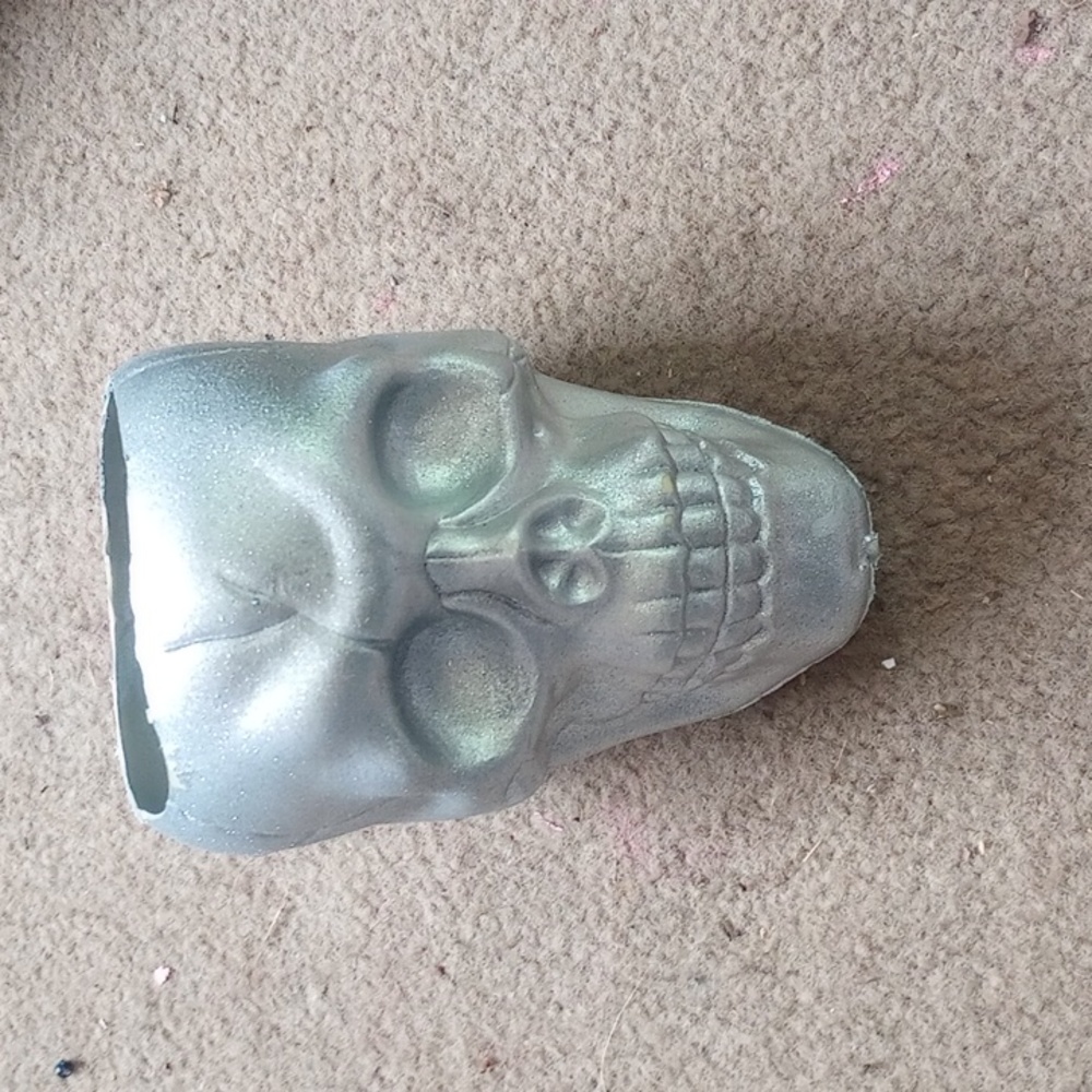Plastic Skull